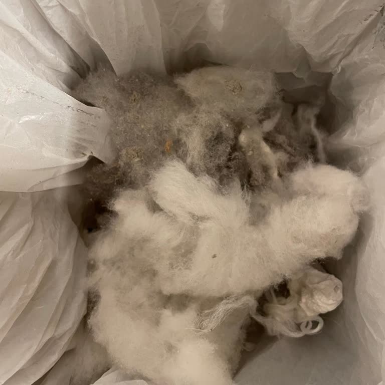 Valeria Serisi Halı: Polyester Sorunu Ve Sürekli Hav Çıkışı