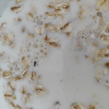 Güvenilir Markada Böcek Şoku