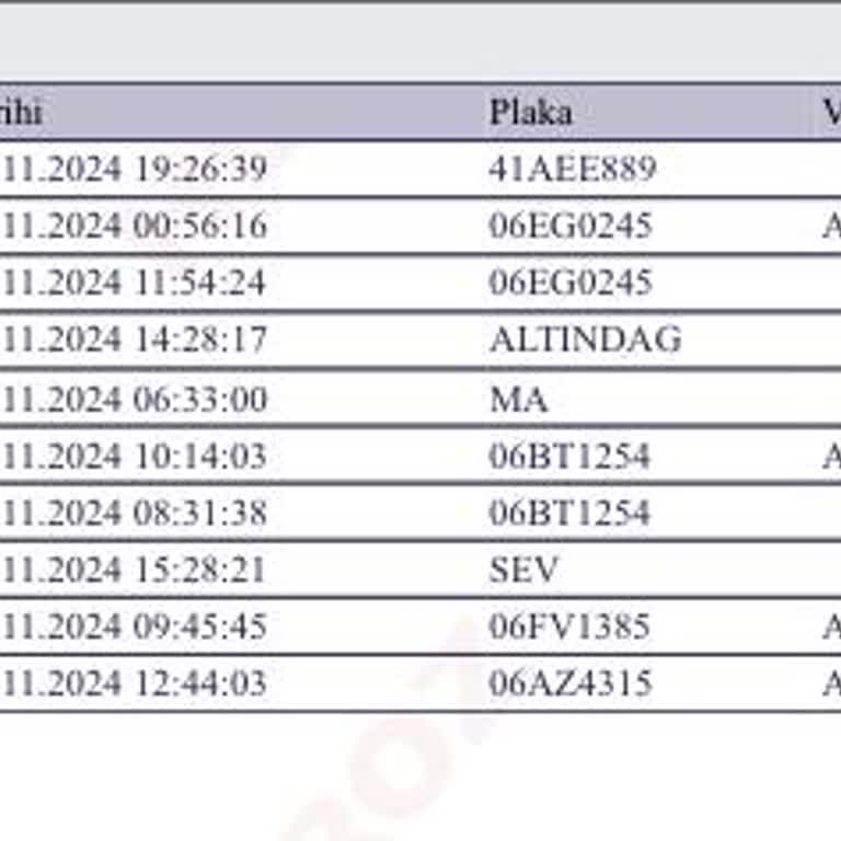Televizyonum Kayıp: Horoz Lojistik İle Teslimat Kabusu