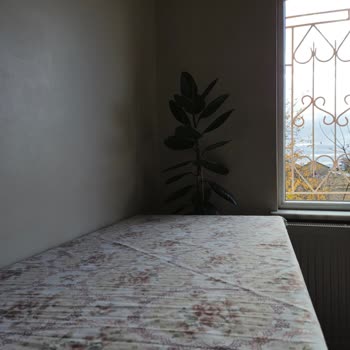 Samsung Galaxy S24 Plus Kamera Hayal Kırıklığı