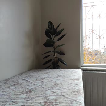 Samsung Galaxy S24 Plus Kamera Hayal Kırıklığı