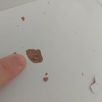 Arçelik Servisinden Memnuniyetsizlik!