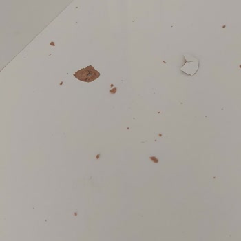 Arçelik Servisinden Memnuniyetsizlik!