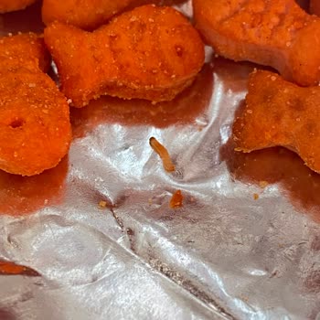 Eti Gıda Krakerde Kurt Şoku