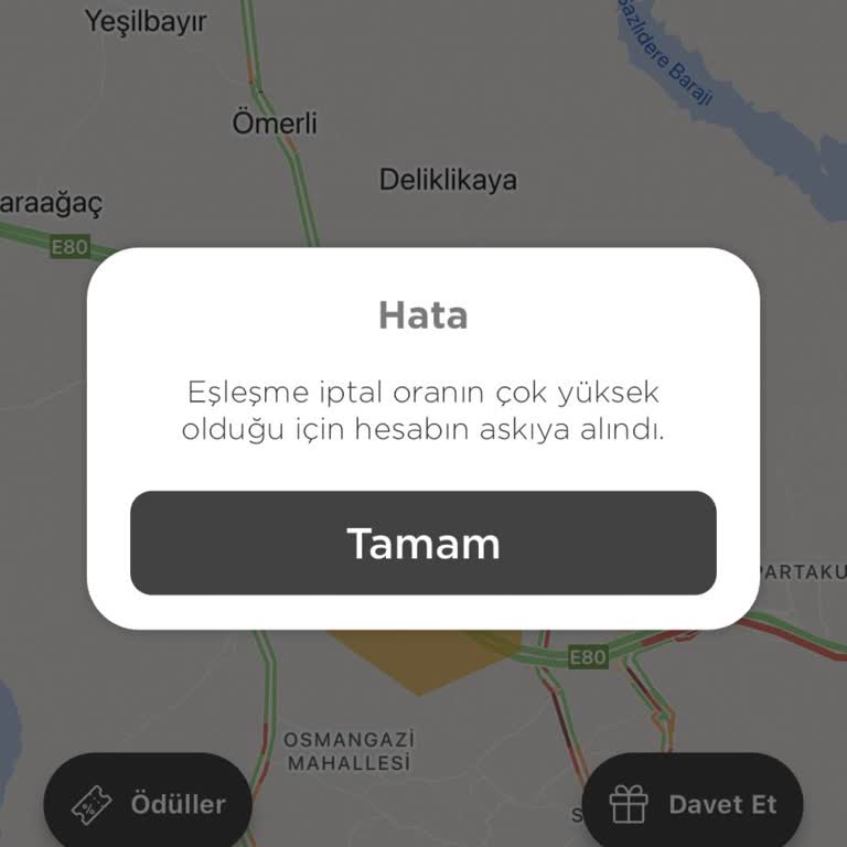 Martı Tag Sürücü Kullanımında Hesap Askıya Alınma Sorunu