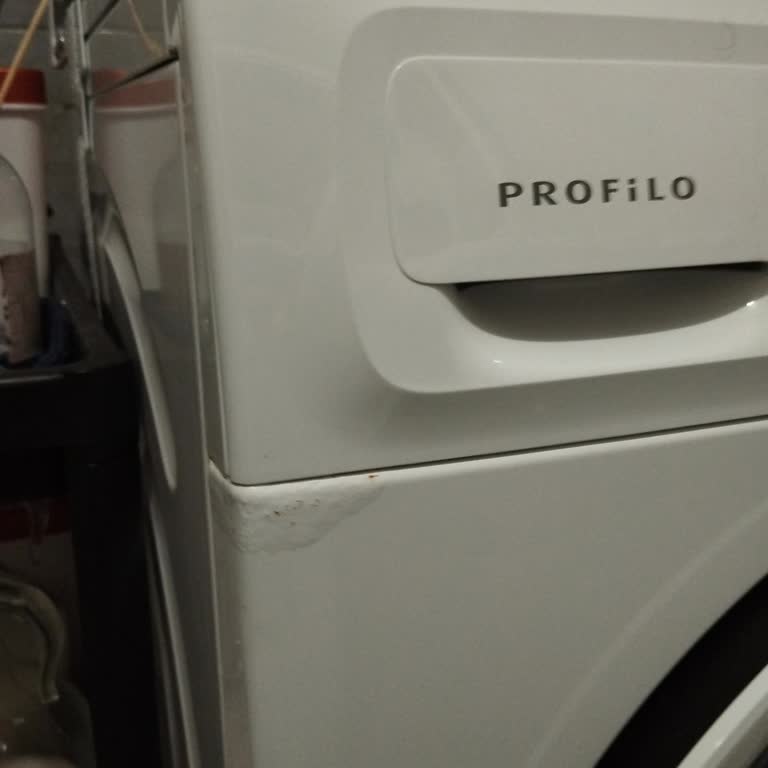 Profilo Çamaşır Makinesinde 3 Yılda Çürüme Ve Boya Atması