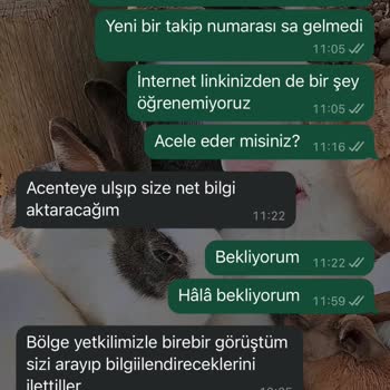 Kartlarım Nerede? Teslimat Kabusu