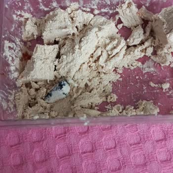 Helvada Taş Şoku: Çocuklarımın Sağlığı Tehlikede