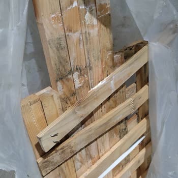 Astek Bilişim Trendyol'dan Gelen Hayal Kırıklığı: Hasarlı Ürün Ve İlgisiz Satıcı