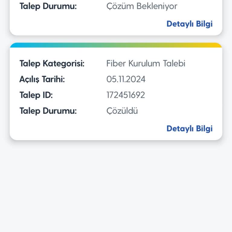 Fiber İnternet Bağlantısı Sorunu Ve Yetersiz Destek