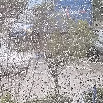 Yurtiçi Kargo'nun Teslimat Gecikmesi