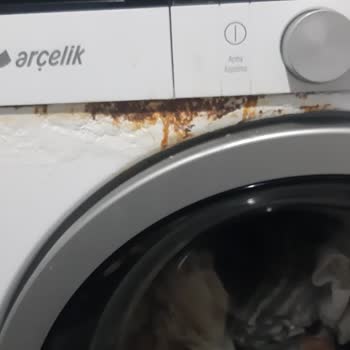 Arçelik Çamaşır Makinesinde Kronik Su Sızıntısı Sorunu
