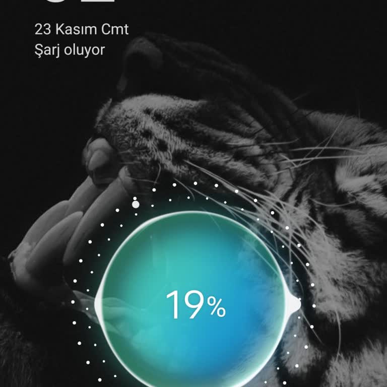 Oppo Reno 5 Lite Hızlı Şarj Problemi