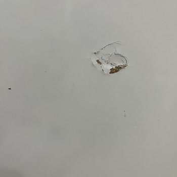 PTT Kargo İle Teslimat Sorunu Ve Hasarlı Ürün