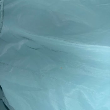 Kamil Koç Yolculuğunda Böcek Sorunu