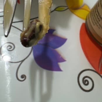 Nut Master Üründe Hijyen Skandalı