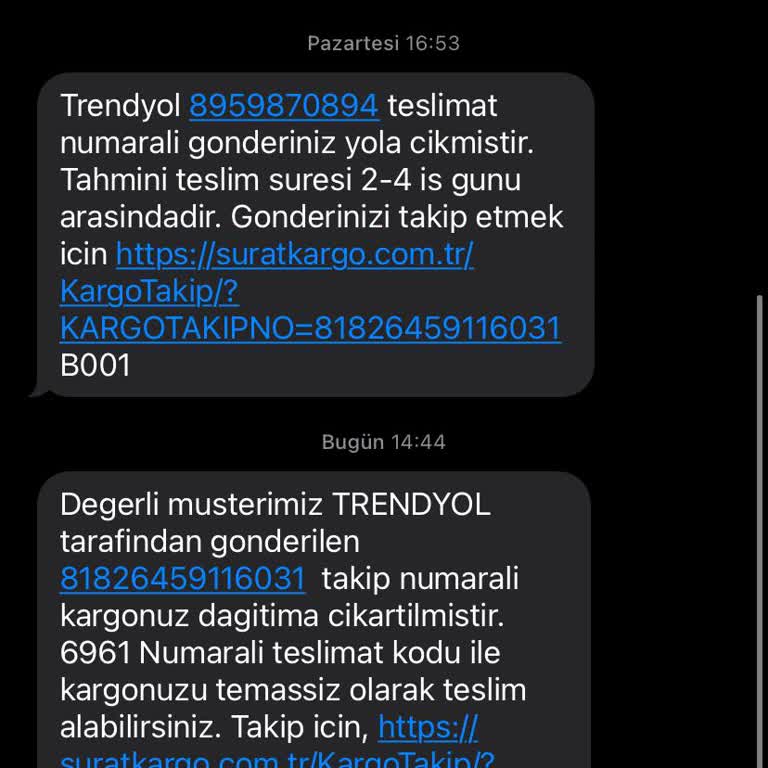 Sürat Kargo'nun Gecikme Sorunu
