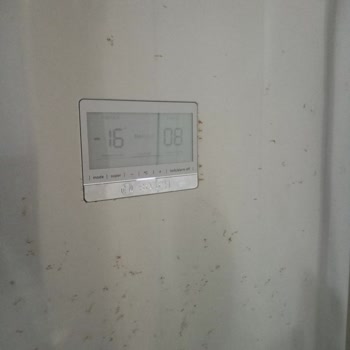 Paslanmaz Çelik Buzdolabı Paslandı: Bosch'un Hayal Kırıklığı