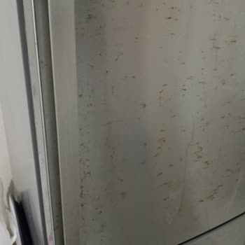 Paslanmaz Çelik Buzdolabı Paslandı: Bosch'un Hayal Kırıklığı