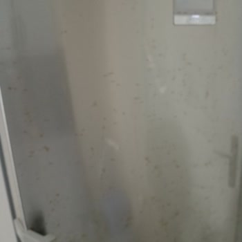 Paslanmaz Çelik Buzdolabı Paslandı: Bosch'un Hayal Kırıklığı