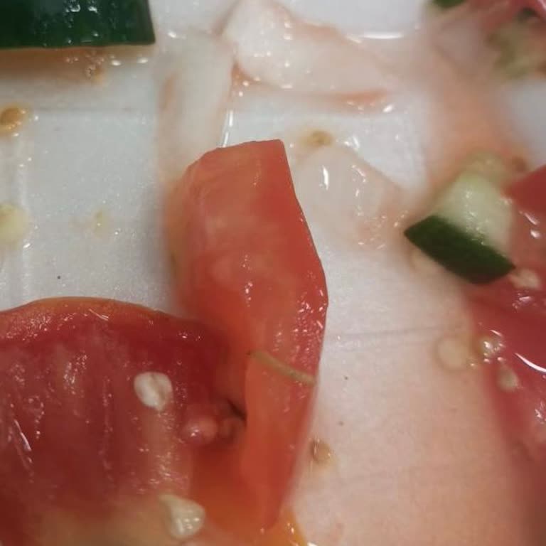 Yurt Yemekleri Ve Ekmek Kısıtlaması Sorunu