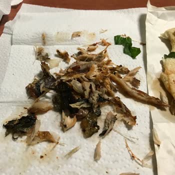 Mevsim Balıkçılık Nizip Müşteri Memnuniyetsizliği