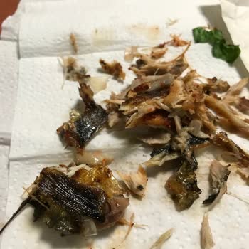 Mevsim Balıkçılık Nizip Müşteri Memnuniyetsizliği