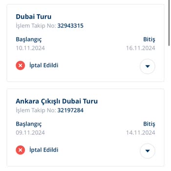 Tatil Kabusu: İptaller, Mağduriyet Ve Kötü Hizmet