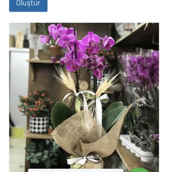 Çiçek Siparişimde Karşılaştığım Sorunlar