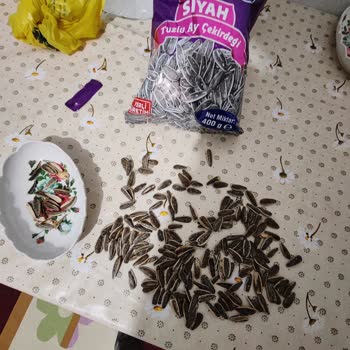 Amigo Çekirdek: Boş Kabuk Dolu