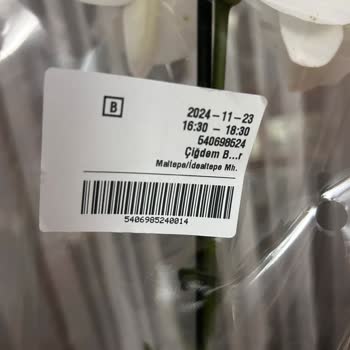 Migros Sanal Marketten Gelen Orkide Hayal Kırıklığı