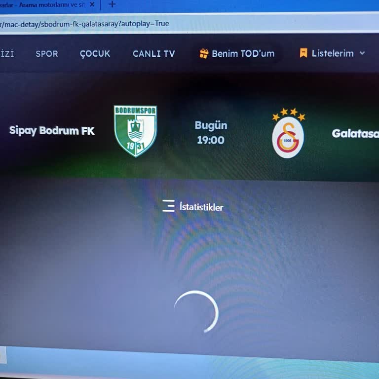 Webden Giriş Sorunu: Acil Çözüm Bekleniyor