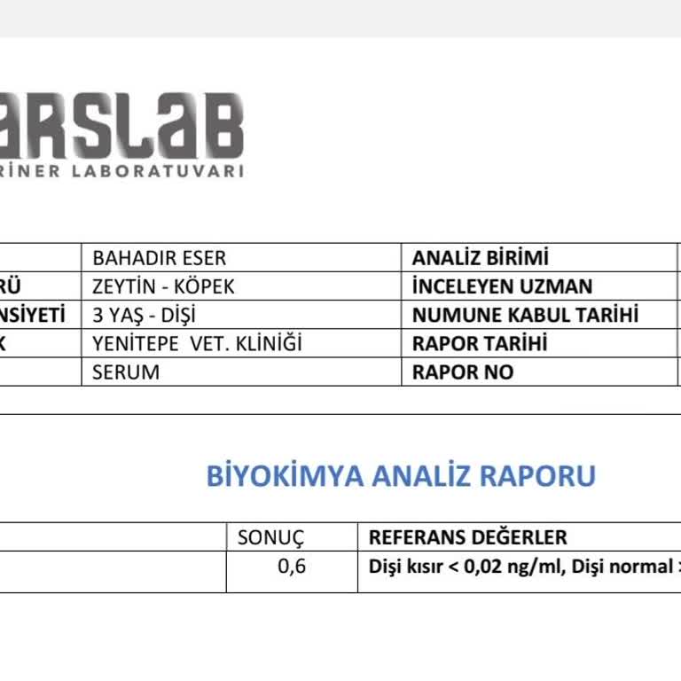 Başarısız Operasyon Sonrası Hayal Kırıklığı