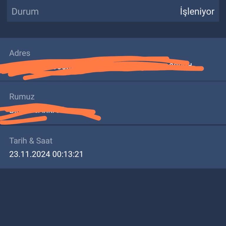 Bitexen'de Ankr Çekim İşlemi Gecikmesi