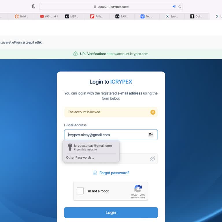 Kilitlenen Hesap Ve Yetersiz Destek: İcrypex'te Mağduriyet