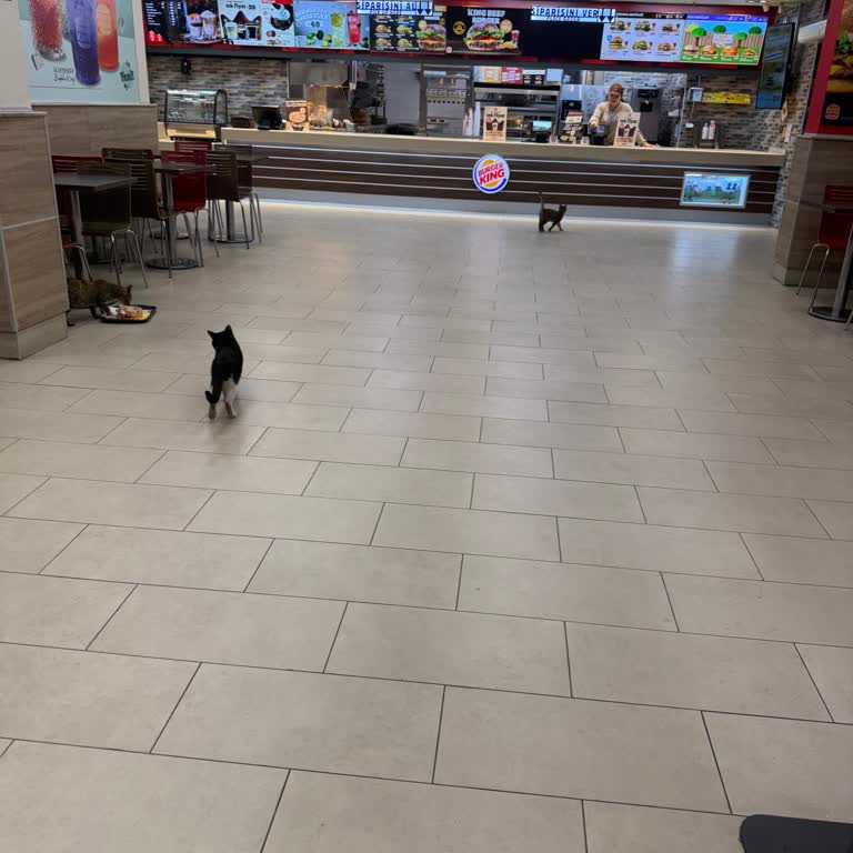 Hijyen Ve Kalite Sorunu Yaşadım