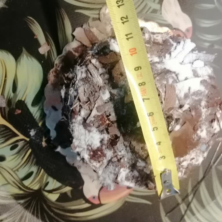 Küçük Boyutlu Pasta Şaşkınlığı