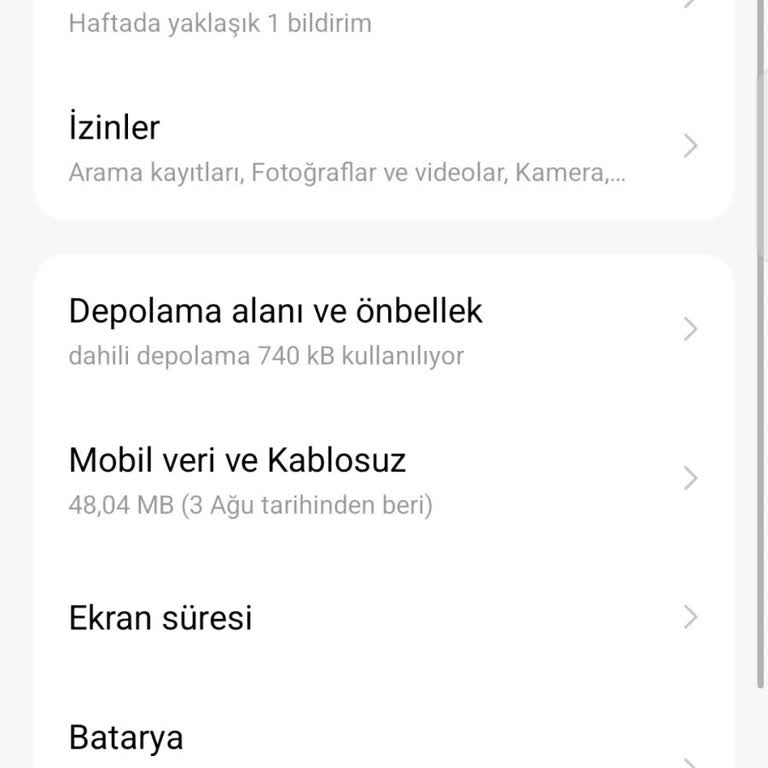 Kaldırılamayan Uygulama Sorunu