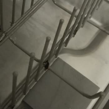 Paslanan Bulaşık Makinesi Sepeti Ve Yüksek Değişim Ücreti