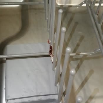 Paslanan Bulaşık Makinesi Sepeti Ve Yüksek Değişim Ücreti