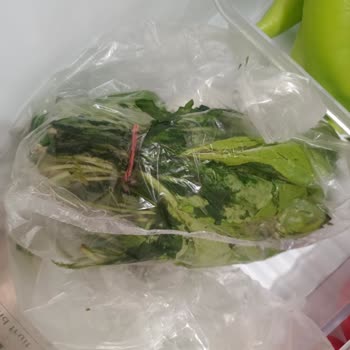 Bosch Buzdolabı Sebze Ve Meyveleri Çürütüyor: Çözüm Bekliyorum