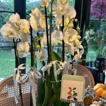 Öğretmenler Günü İçin Verilen Siparişte Yanlış Ürün Ve İade Talebi