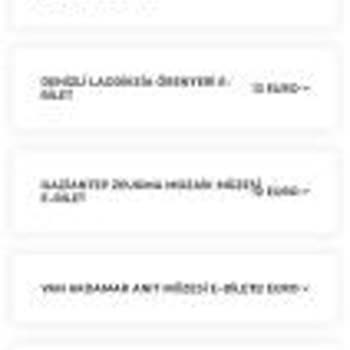 Müze Biletlerinde Euro İsyanı