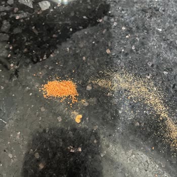 Bebek Tarhanasında Şok Edici Kurtlanma