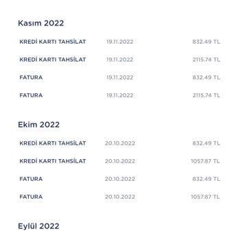 Pronet Hizmetleri: Vaatler Ve Gerçekler Arasında Kalan Müşteri