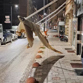Gece Yarısı Acil Durumda Yardım Alamama Sorunu