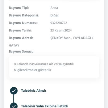 Elektrik Dalgalanmaları Ve İlgisiz Hizmet: Cihaz Güvenliği Tehlikede