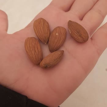 Çitlekçi'den Aldığım Badem Kayısı Çekirdeği Çıktı!
