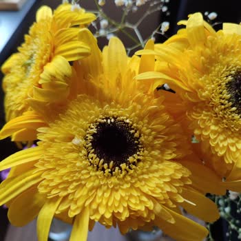 Yanlış Ürün Ve İade Sorunu: Migros Uygulaması Hayal Kırıklığı