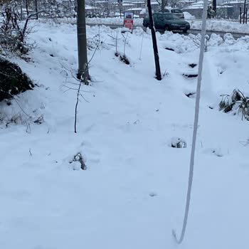 TTNET Kablo Sorunu: Sürekli Kesinti Ve İlgisizlik